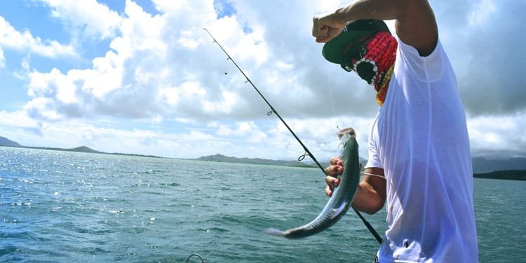 Pesca em Ubatuba - Pousadas foto