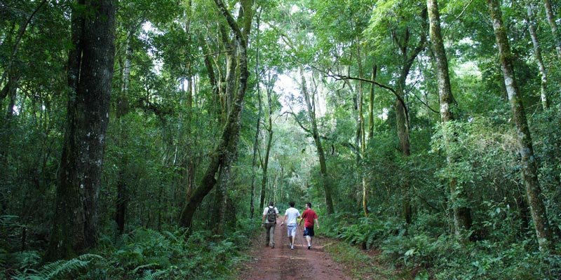 Trilhas e turismo de aventura em Foz do Iguaçu foto