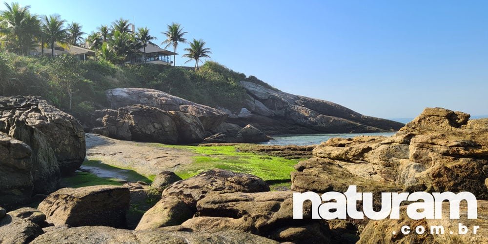 Praia de Pernambuco Guarujá - Naturam