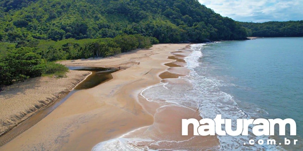 Praia da Ponta Aguda Ubatuba - Naturam