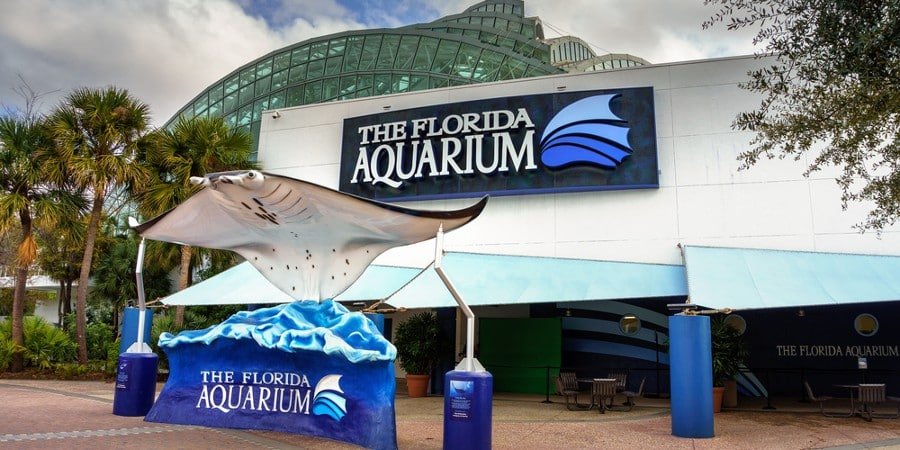 Aquarium Tampa