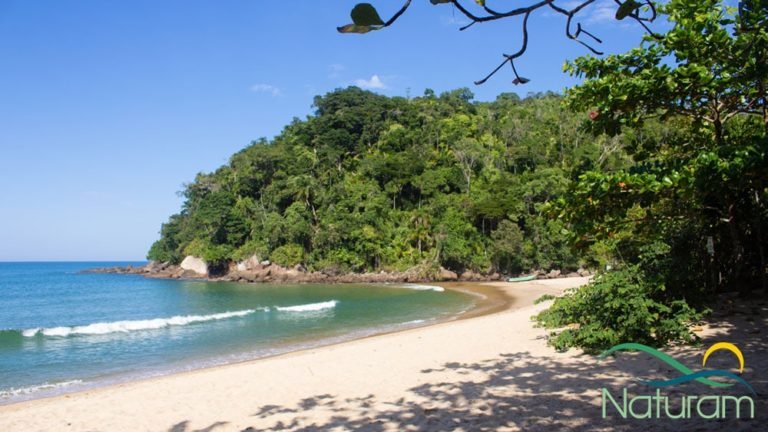 Praia do PRUMIRIM, UBATUBA | Guia Completo NATURAM