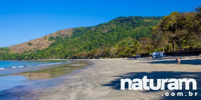 Praia Da Fortaleza Ubatuba - Dicas De O QUE FAZER!!!