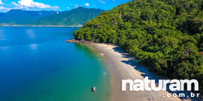 Praia da Lagoinha Ubatuba Guia Atualizado 2025