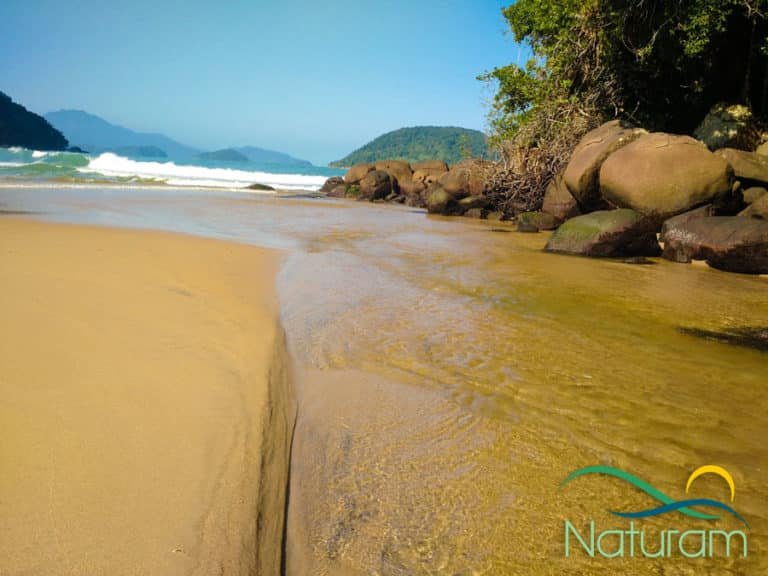 Praia do Prumirim Ubatuba Guia 2024 Naturam