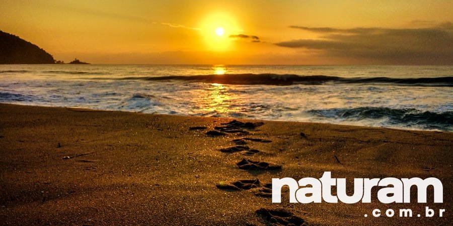 Foto Nascer do Sol na Praia Vermelha do Centro em Ubatuba - Foto por Naturam