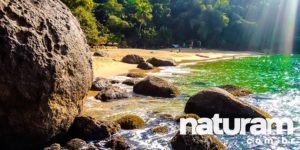 TODAS As PREVISÕES Do TEMPO UBATUBA Num Só Lugar!