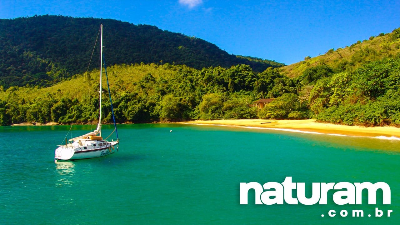 Ilha Anchieta Ubatuba Guia De Turismo 2024 Naturam