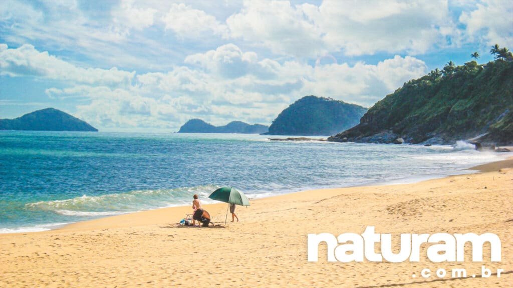 Pegando a rede verde em pé na praia