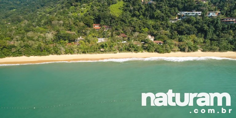Praia Vermelha do Sul Ubatuba  Guia NATURAM