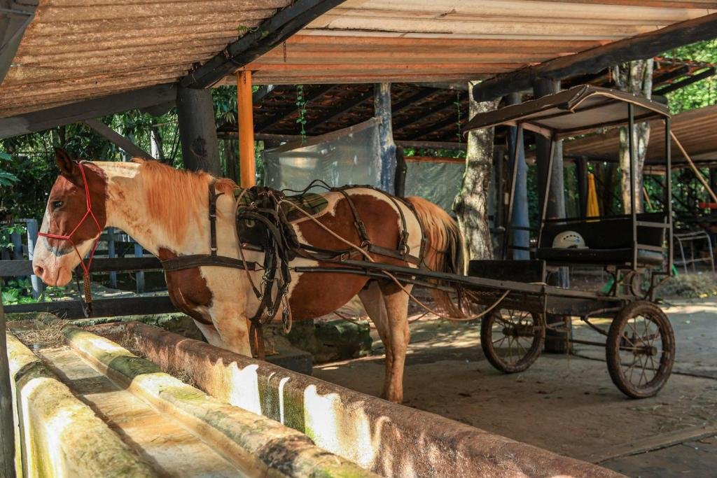 Hotel Fazenda Campo dos Sonhos em Socorro SP