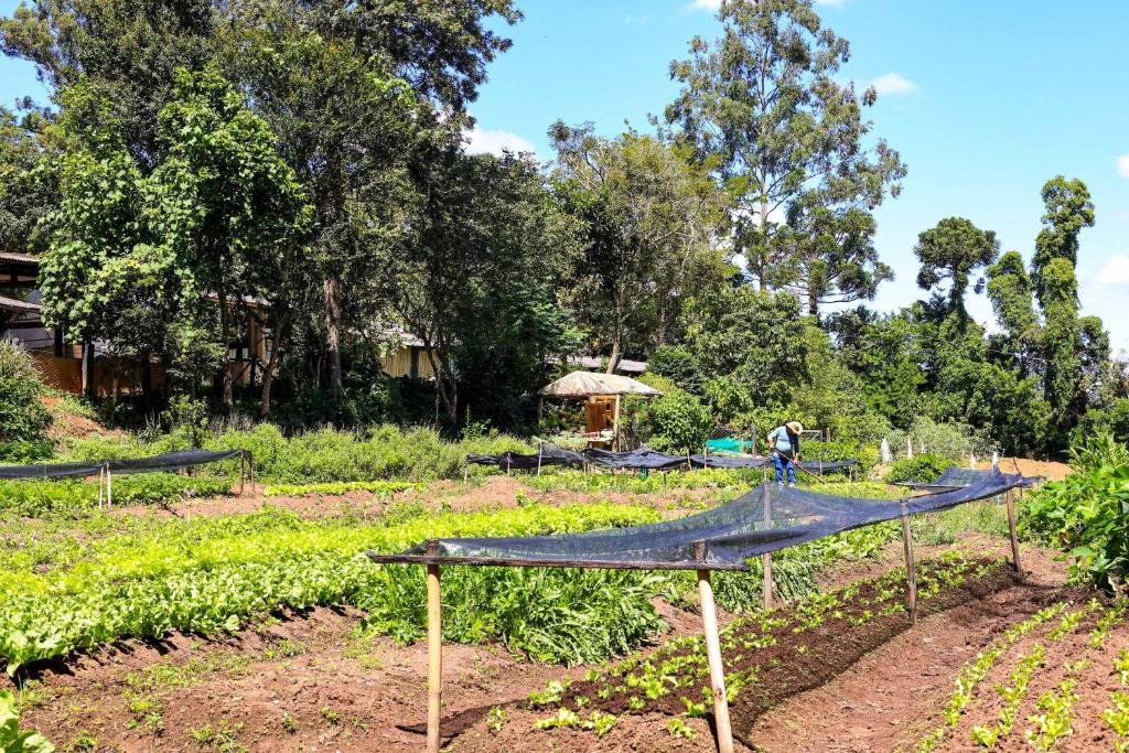 Hotel Fazenda Campo dos Sonhos em Socorro SP